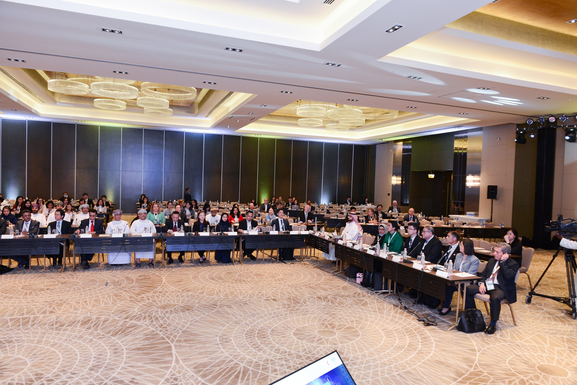 24th AHWP Annual Meeting Photos, Muscat, Oman 2019